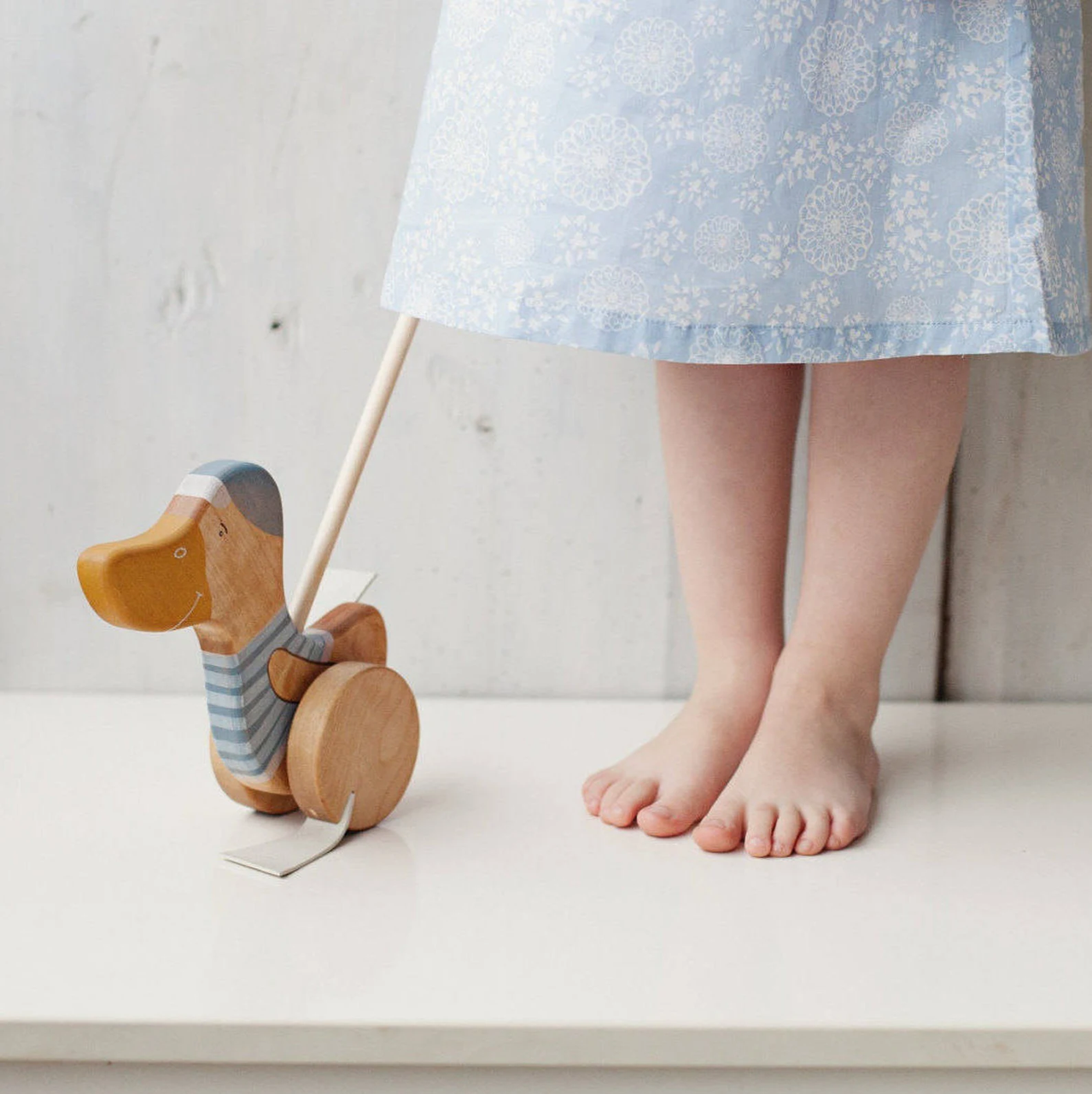 Push & Pull Toys
