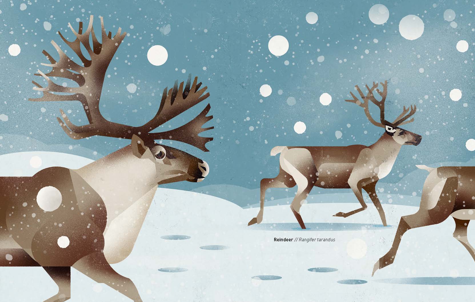 Wild Animals of the World