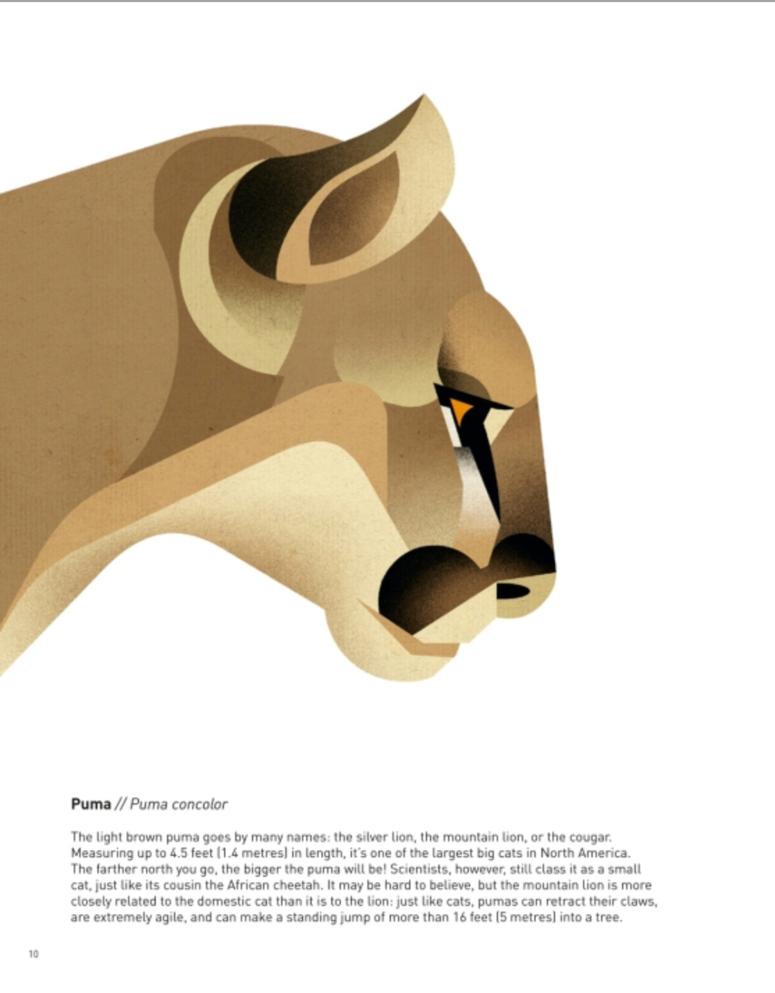 Wild Animals of the World