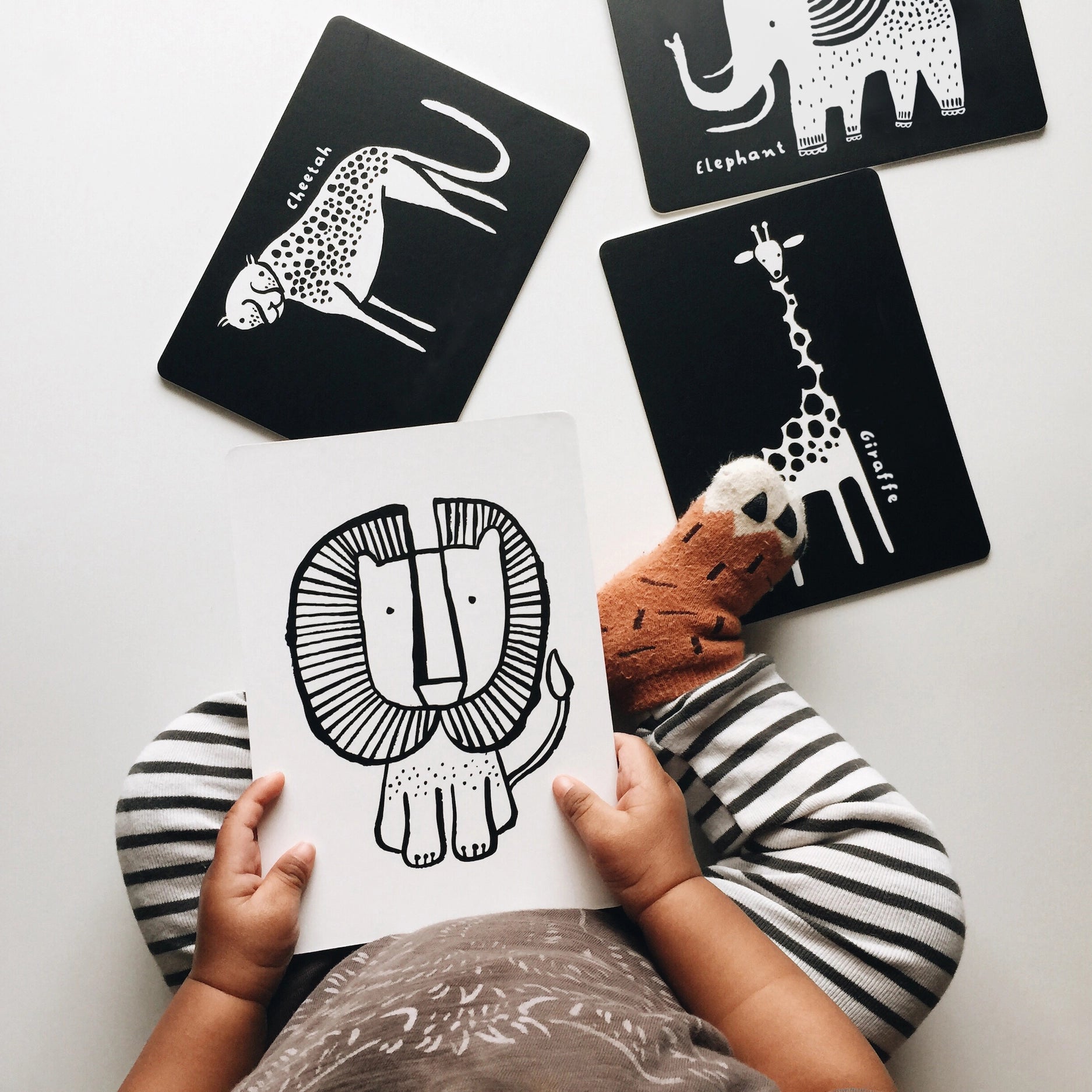 Art Cards For Baby Safari