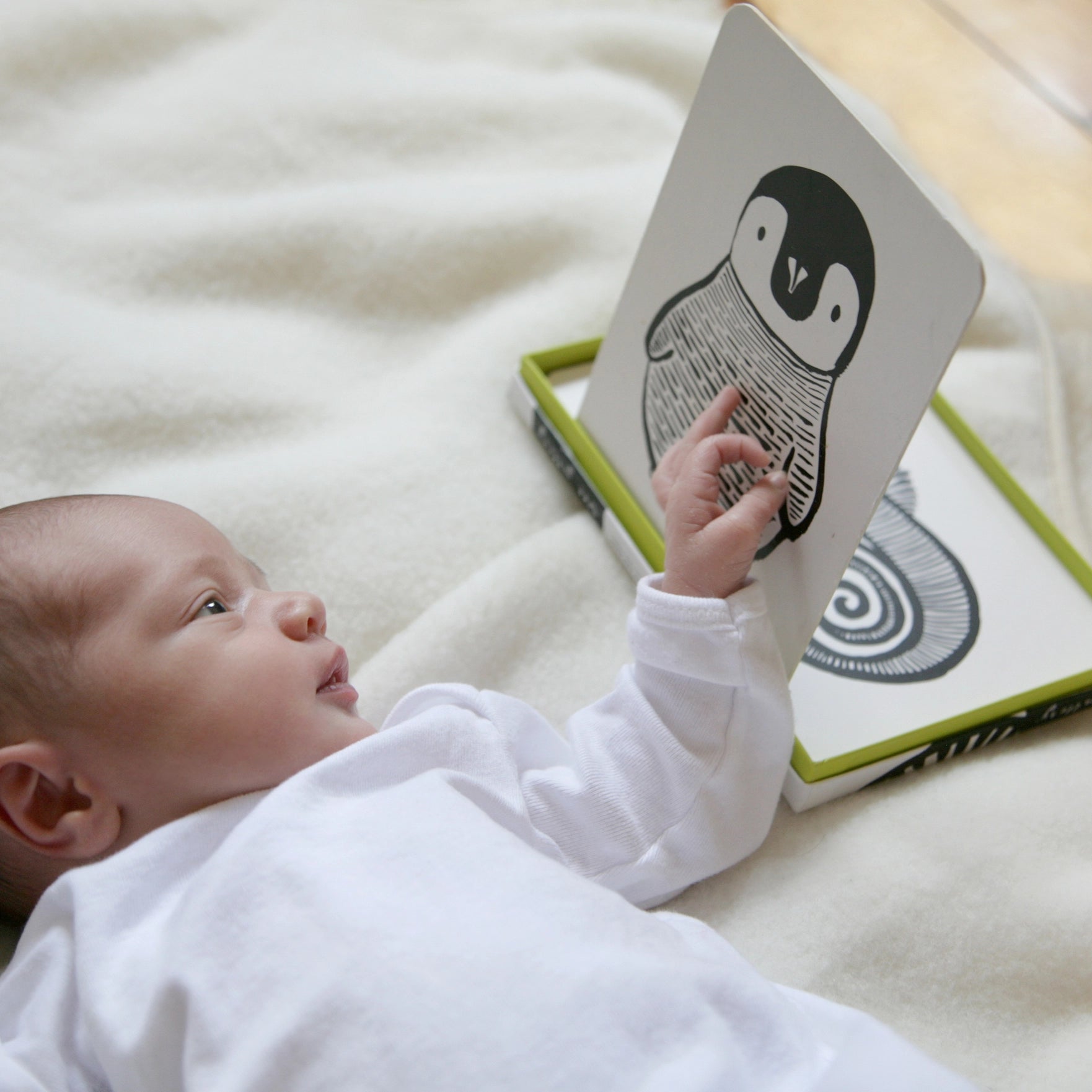 Art Cards For Baby - B&W Animals