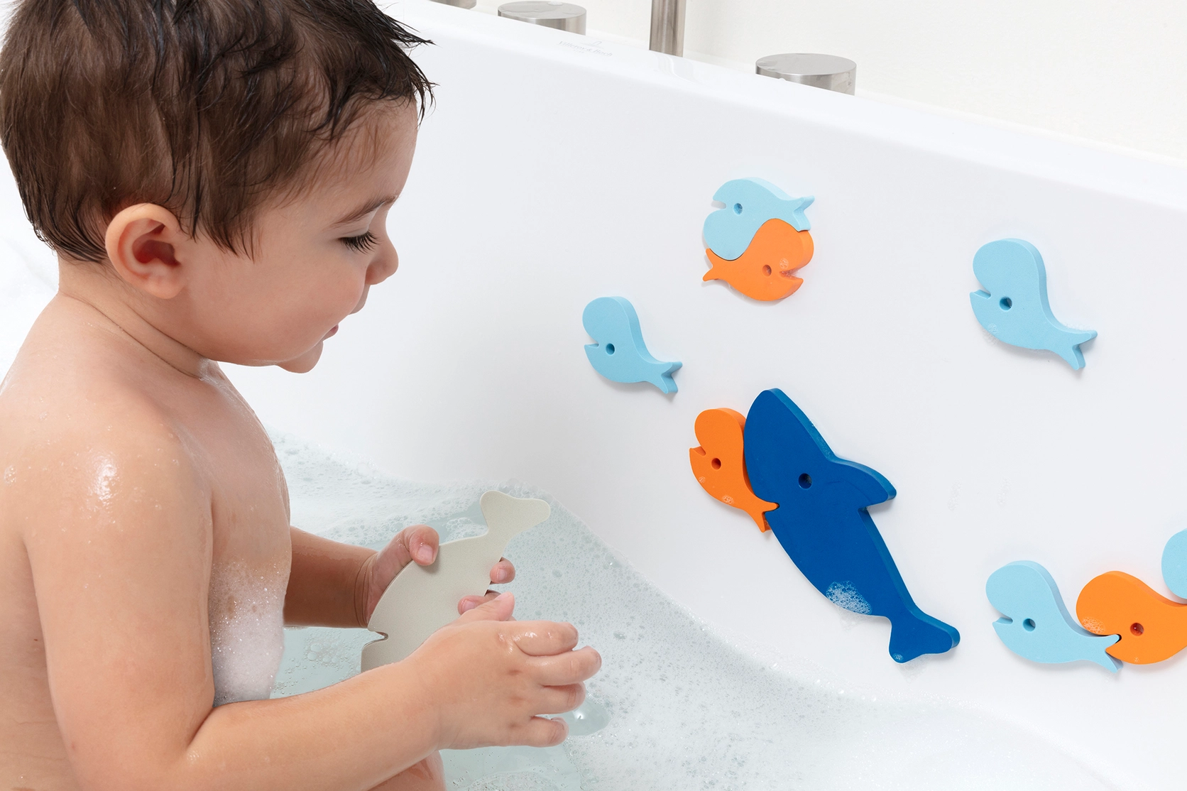 Shark Bath Puzzle