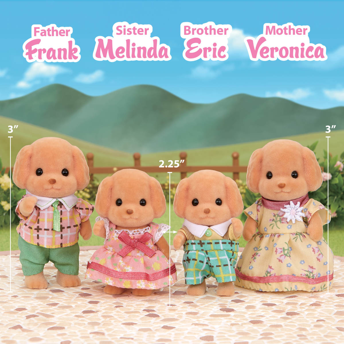 Toy Poodle Family