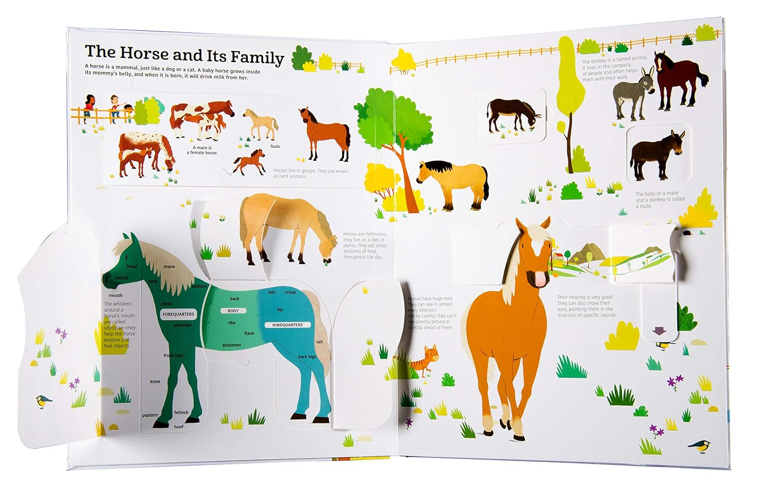 Ultimate Book of Horses
