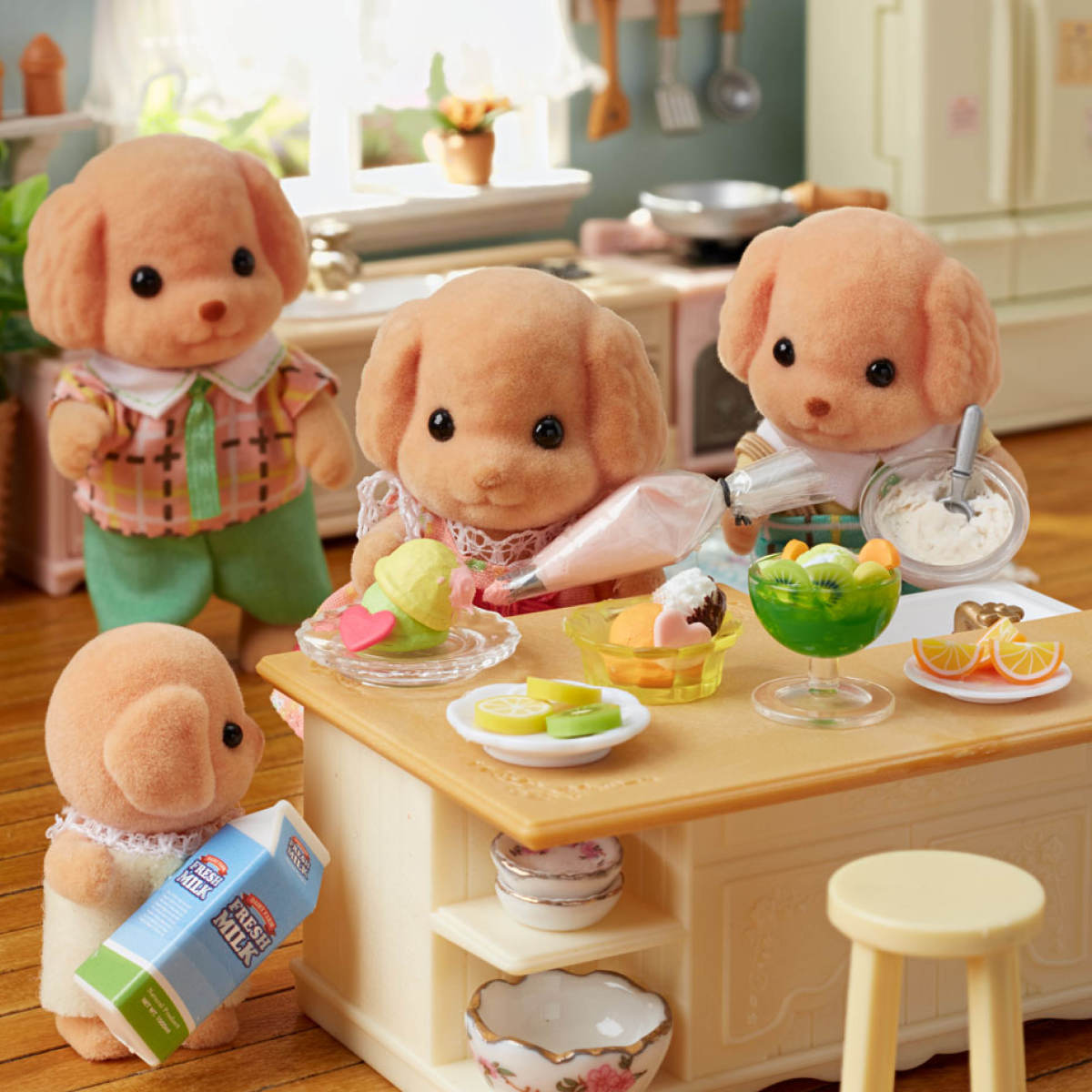 Toy Poodle Family