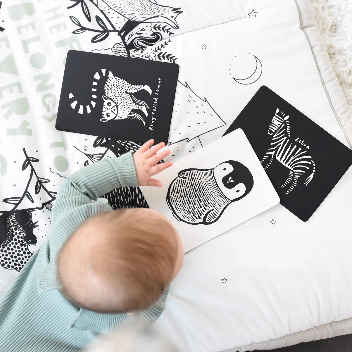 Art Cards For Baby - Black and White