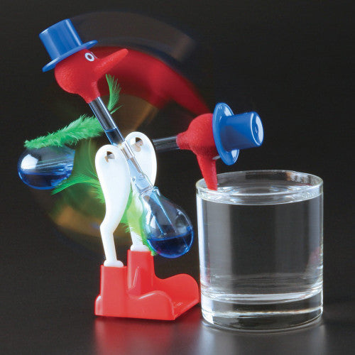 The Thermodynamic Drinking Bird