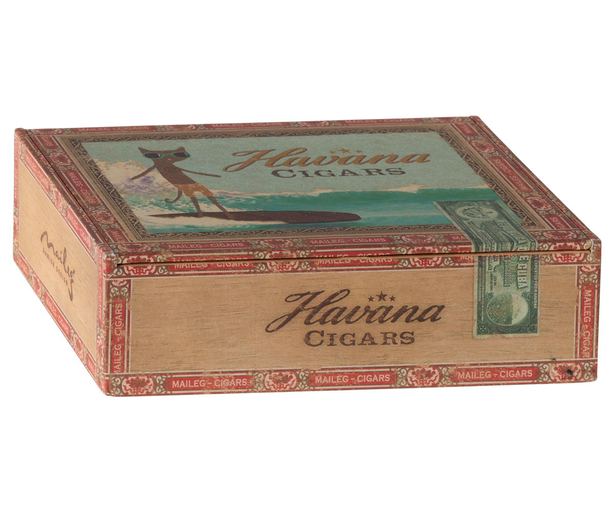 Mum & Dad Mice In Cigarbox