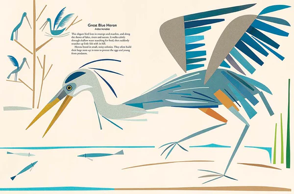 My Book of Birds