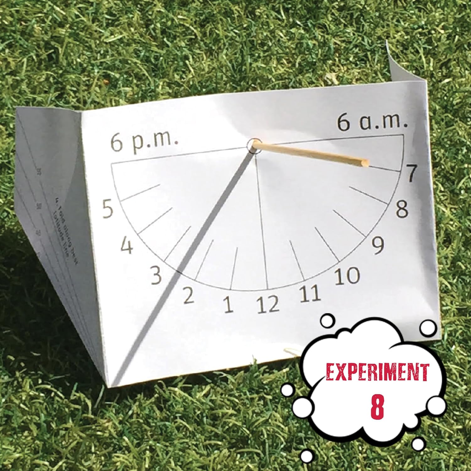 Einstein’s Lab- Young Survivor