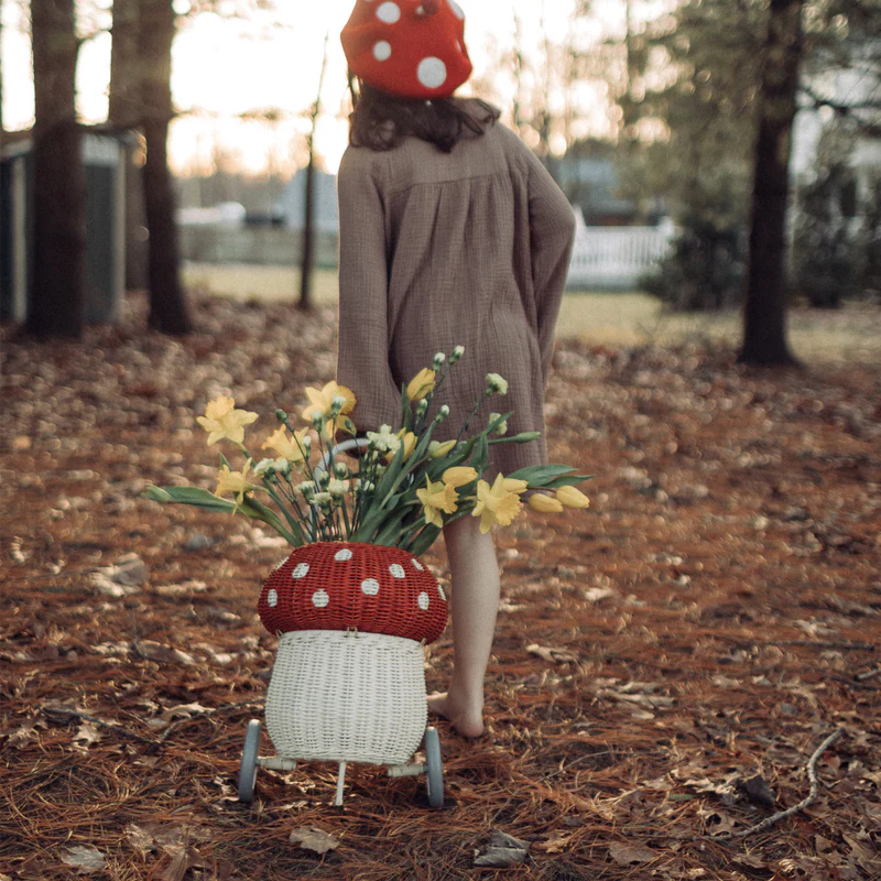 Rattan Mushroom Luggy