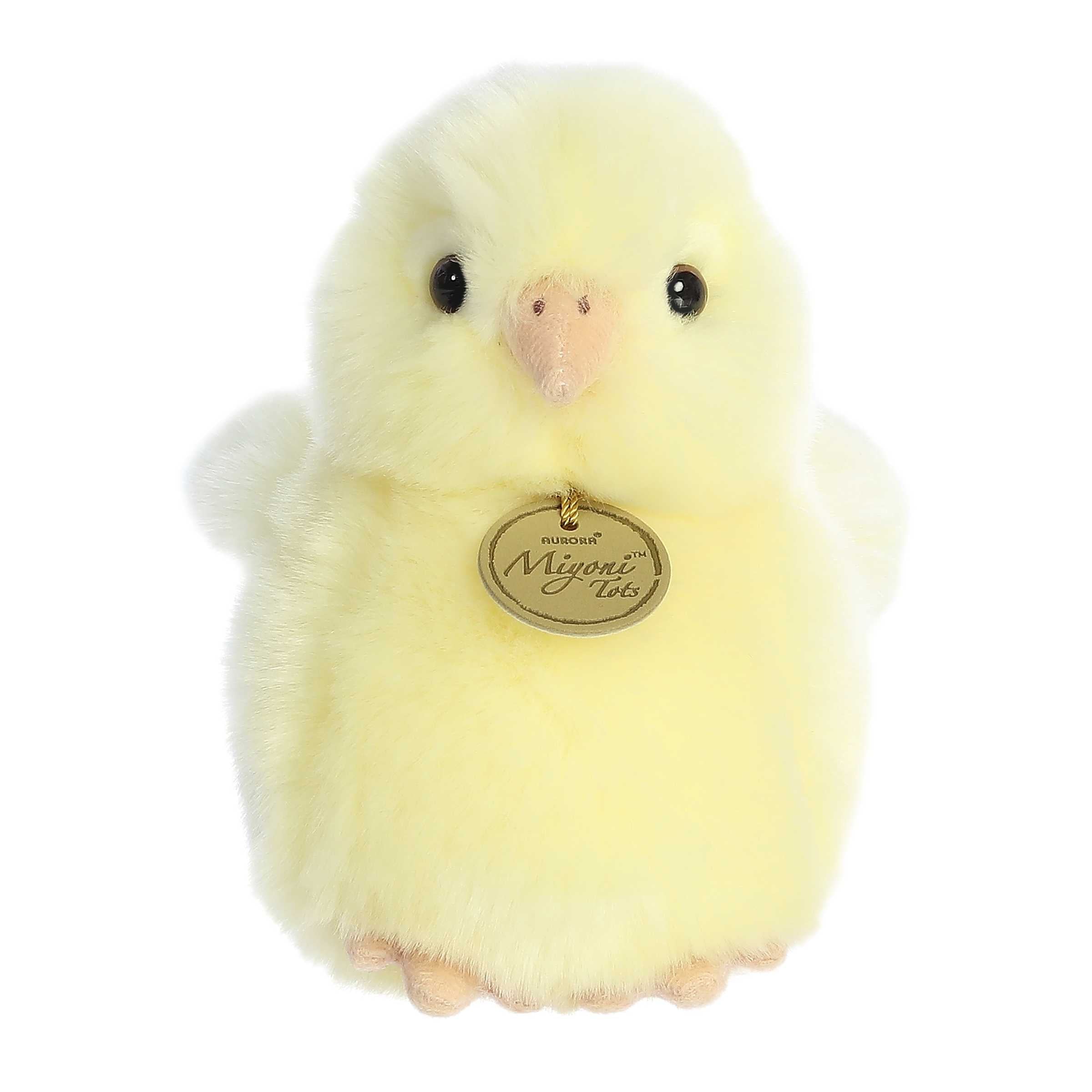 Ameraucana Chick
