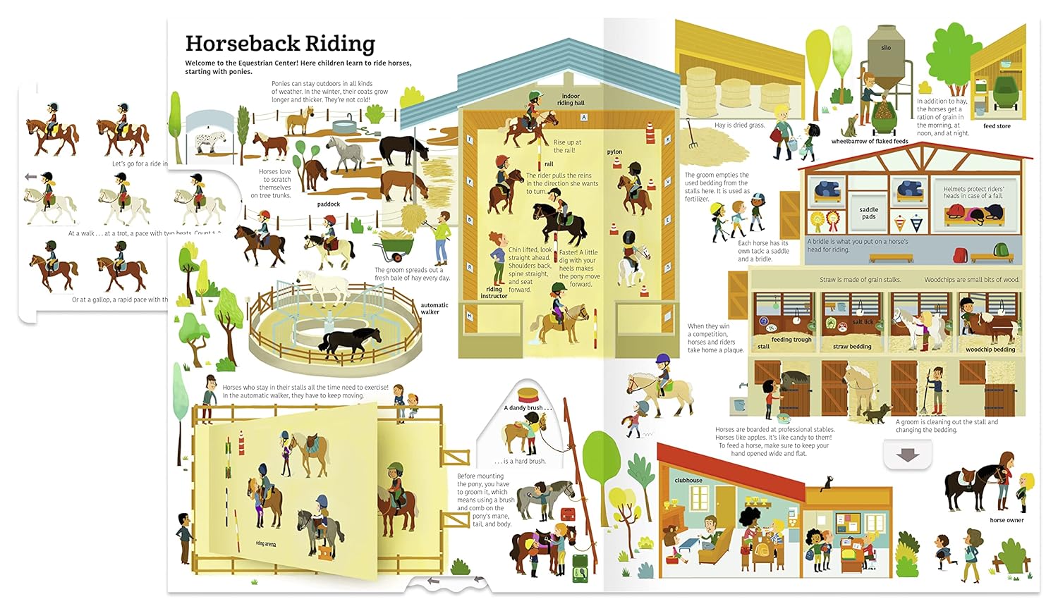 Ultimate Book of Horses