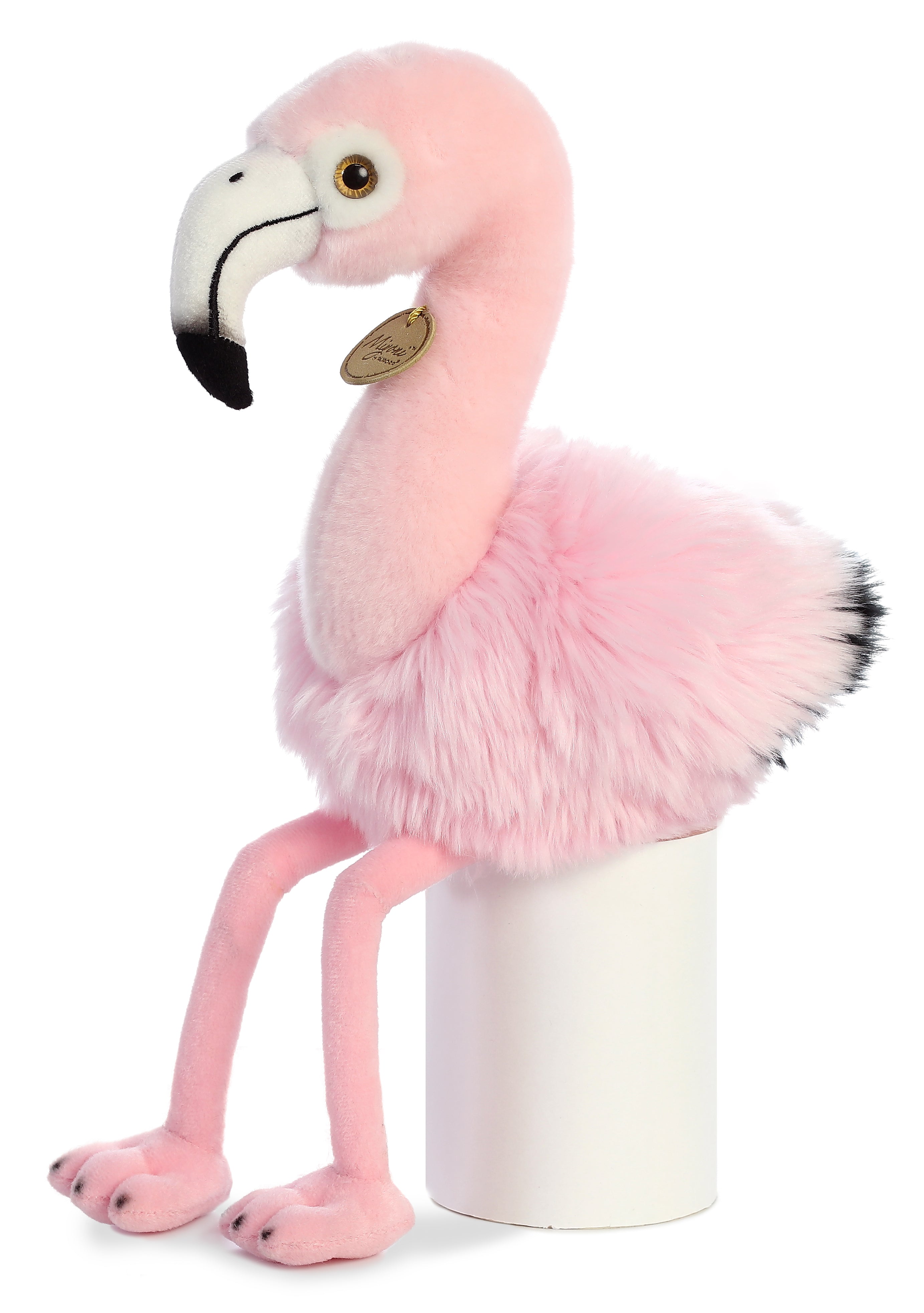 Andean Flamingo