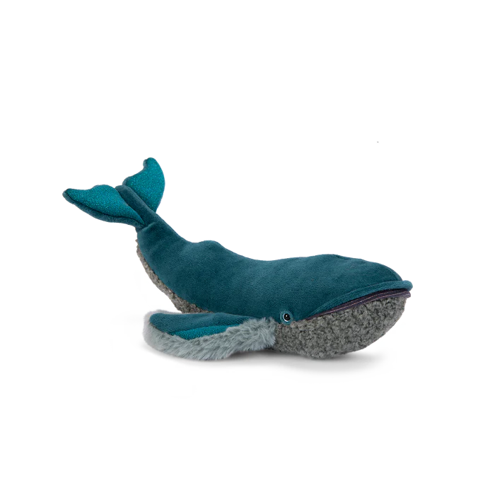 Whale, All Around the World