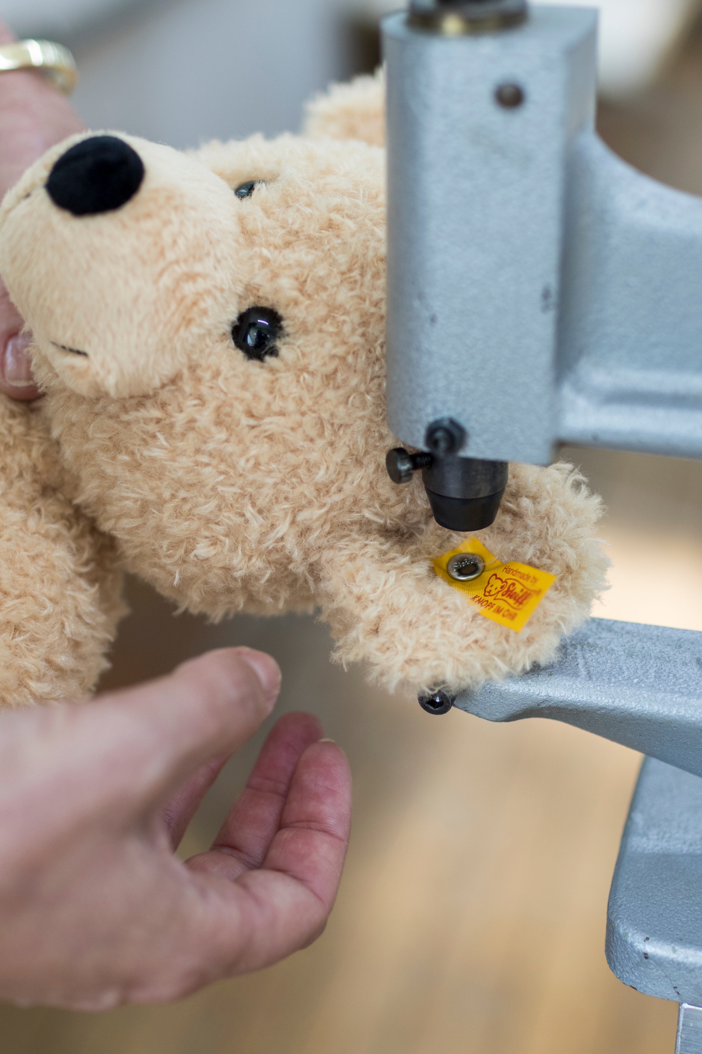 Jimmy Teddy Bear, 16 In