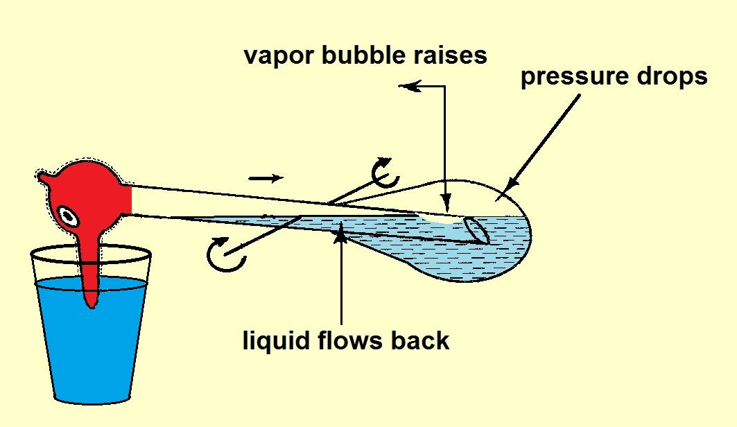 The Thermodynamic Drinking Bird