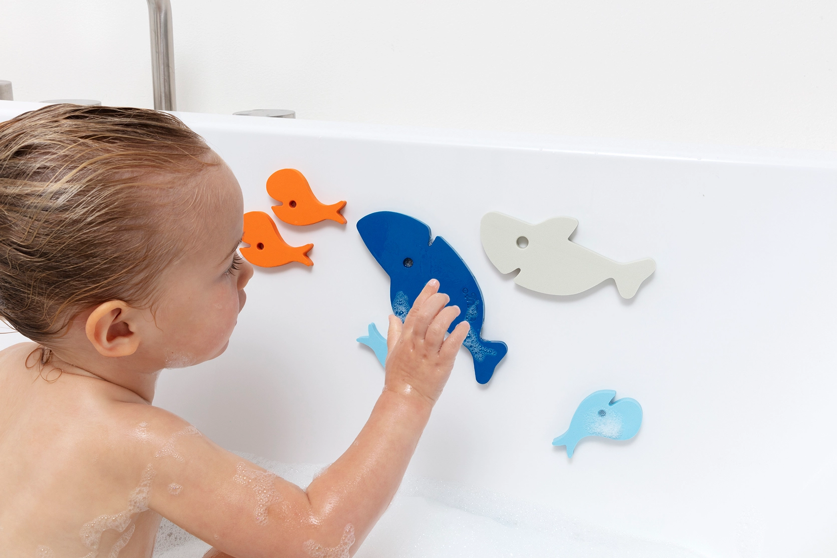 Shark Bath Puzzle