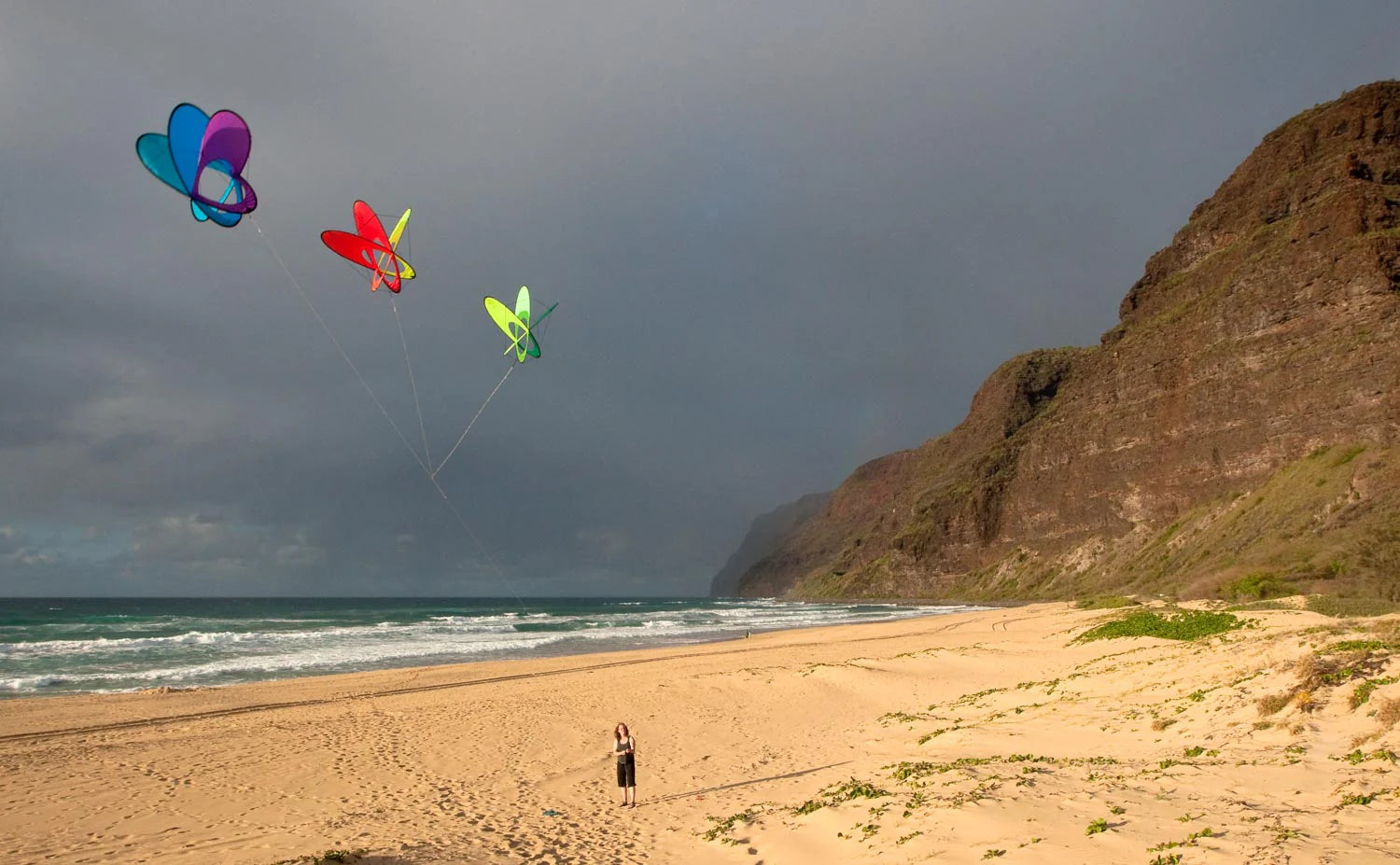 EO Atom Single Line Kite- Citrus