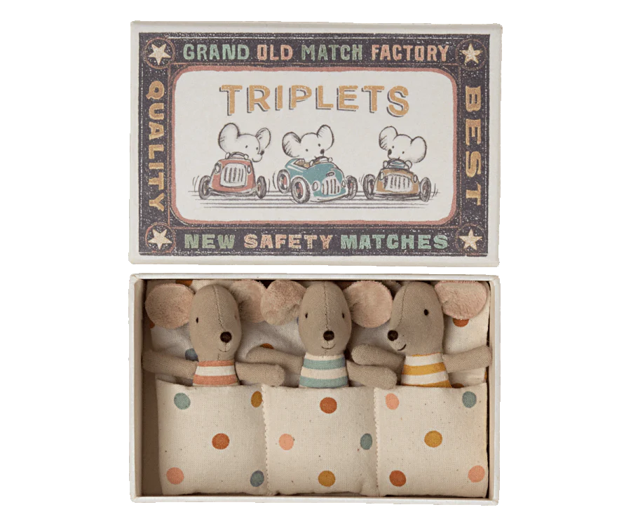 Baby Triplets in Box