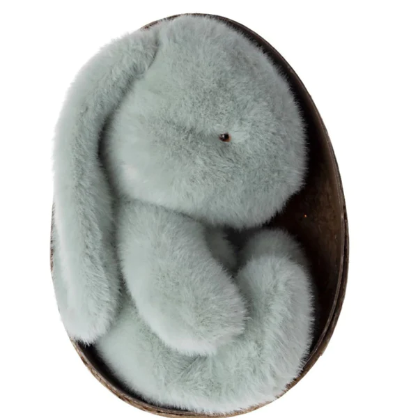Plush Bunny in Egg