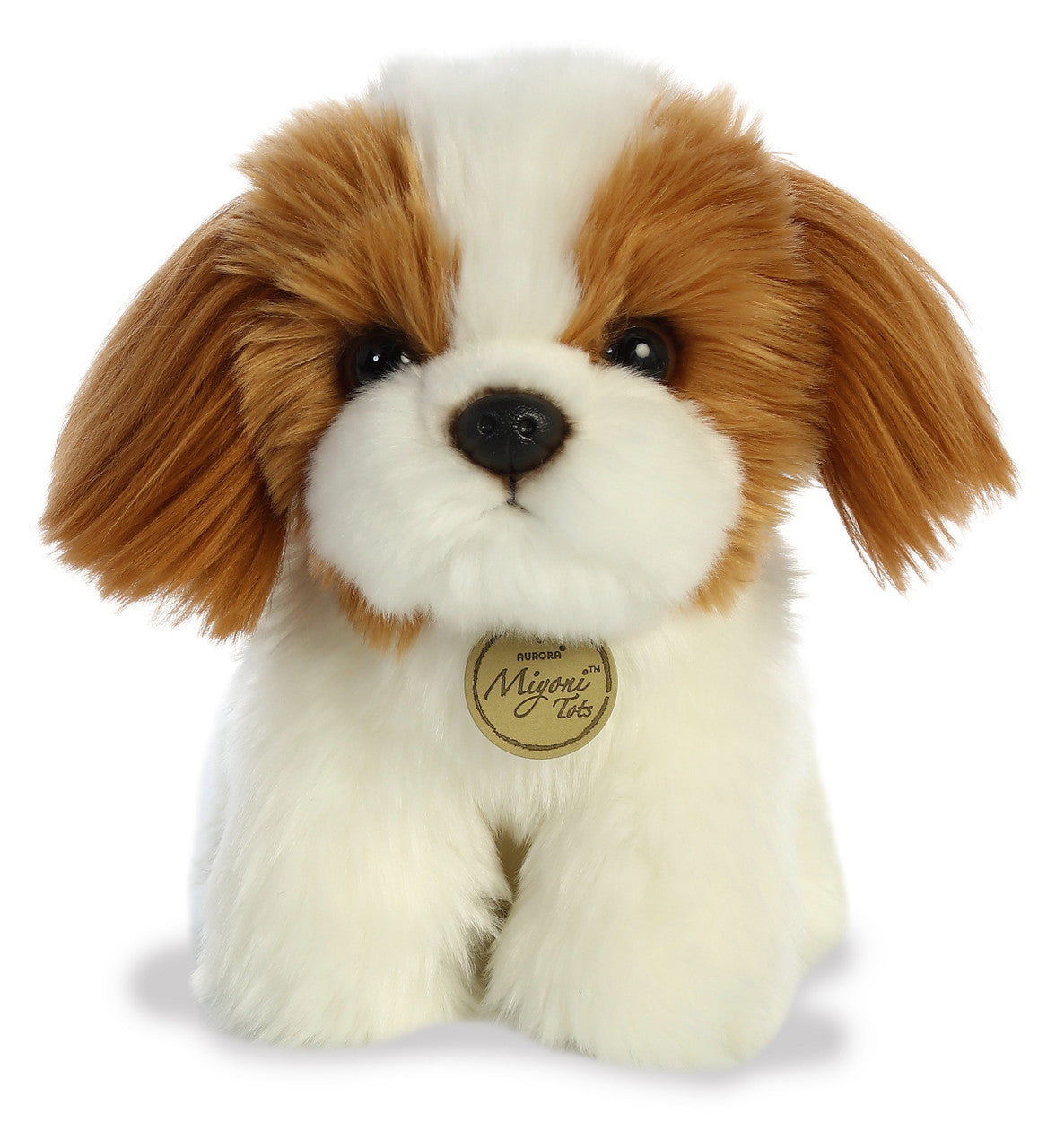 Shih Tzu Pup