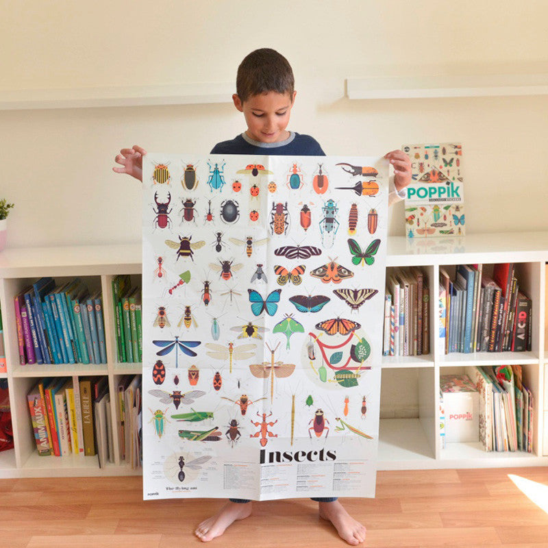 Insects - Poster + Sticker