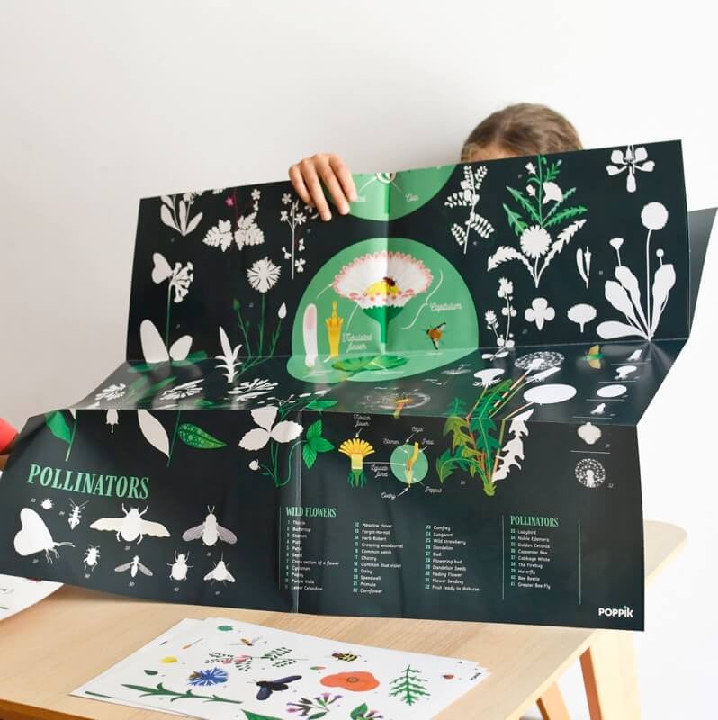 Botanic - Poster + Stickers