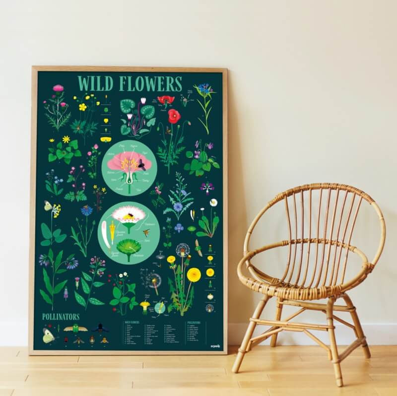 Botanic - Poster + Stickers