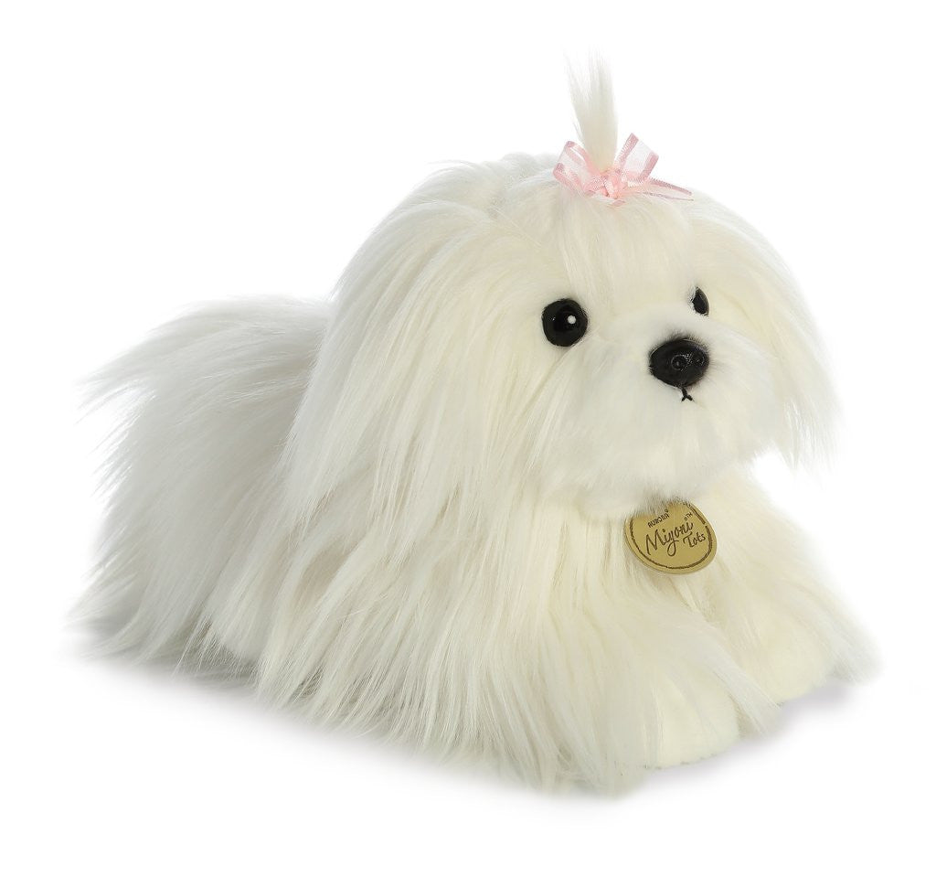 Maltese Puppy