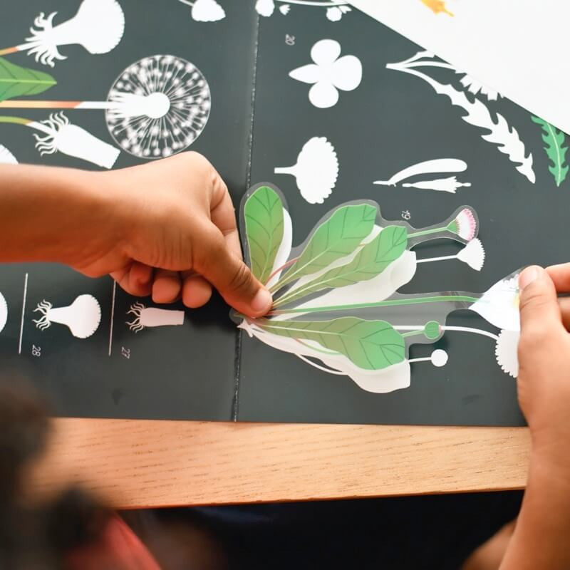 Botanic - Poster + Stickers