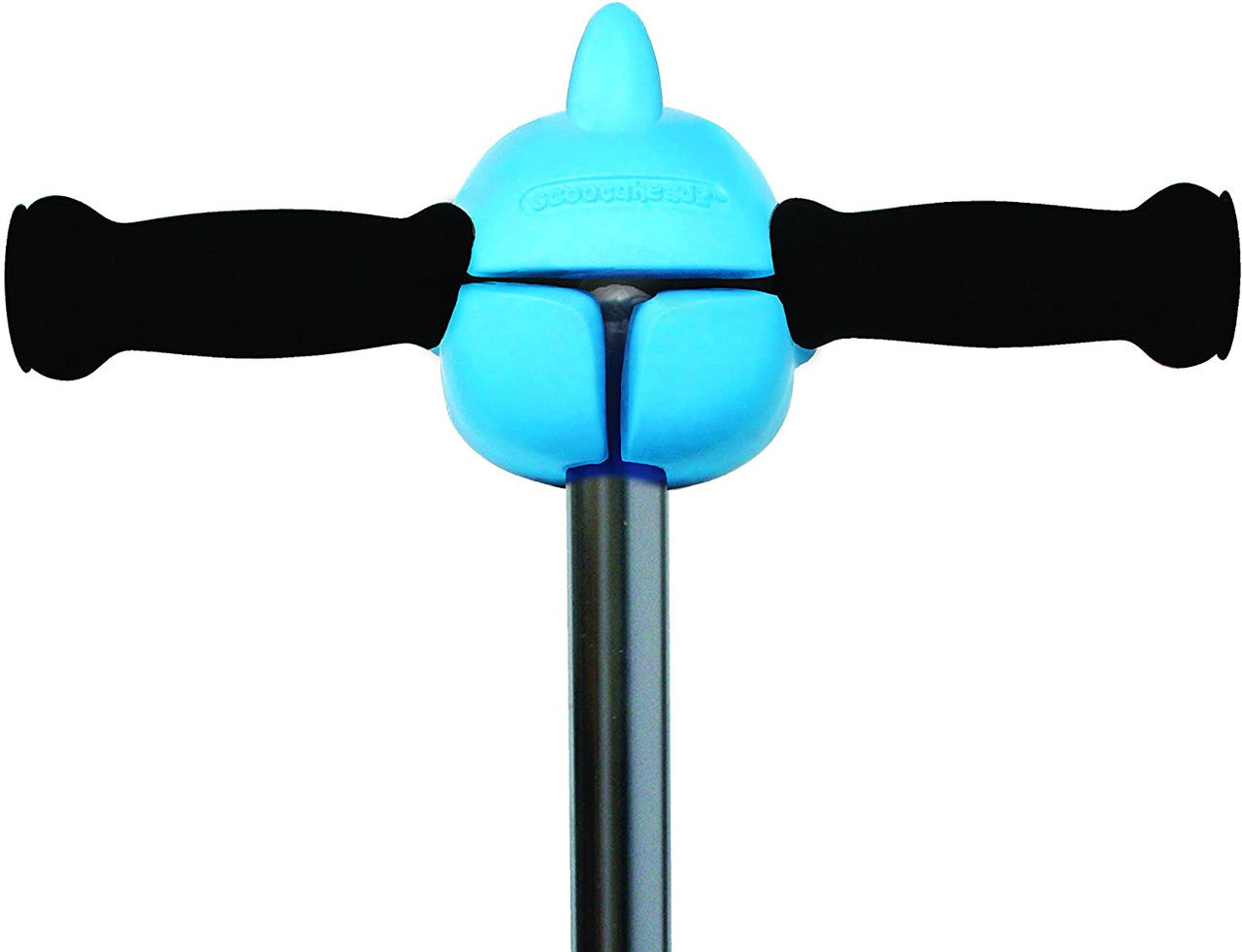 Scooter Head Shark