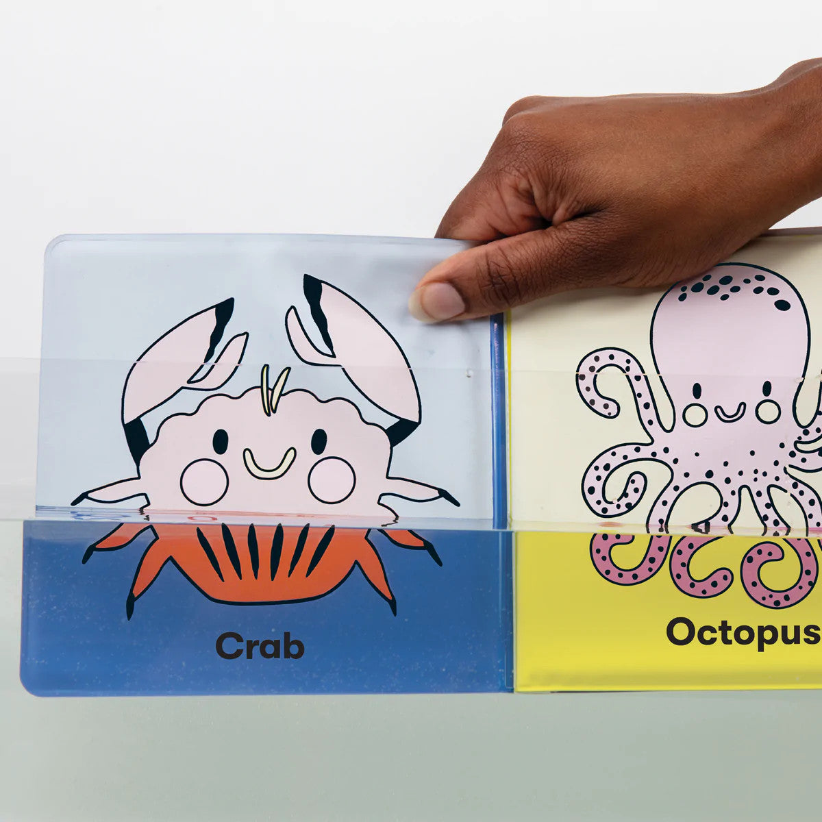 Bath Book - What Color Am I?