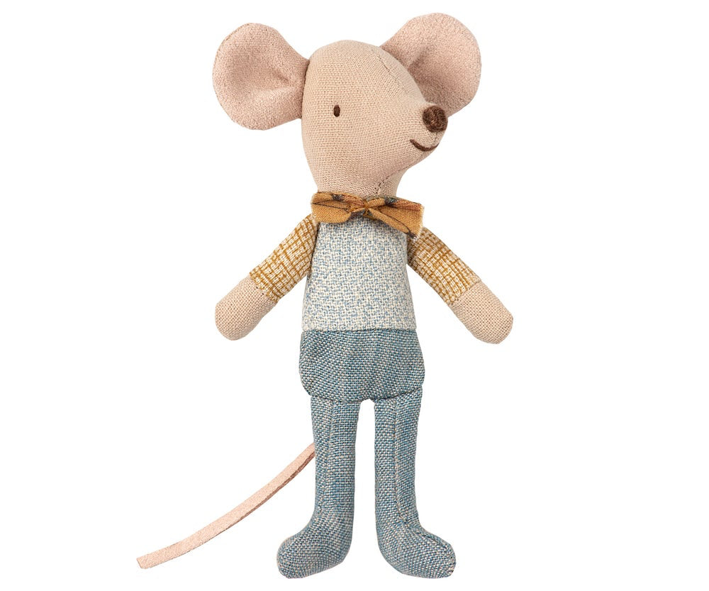 Little Brother Mouse in Box