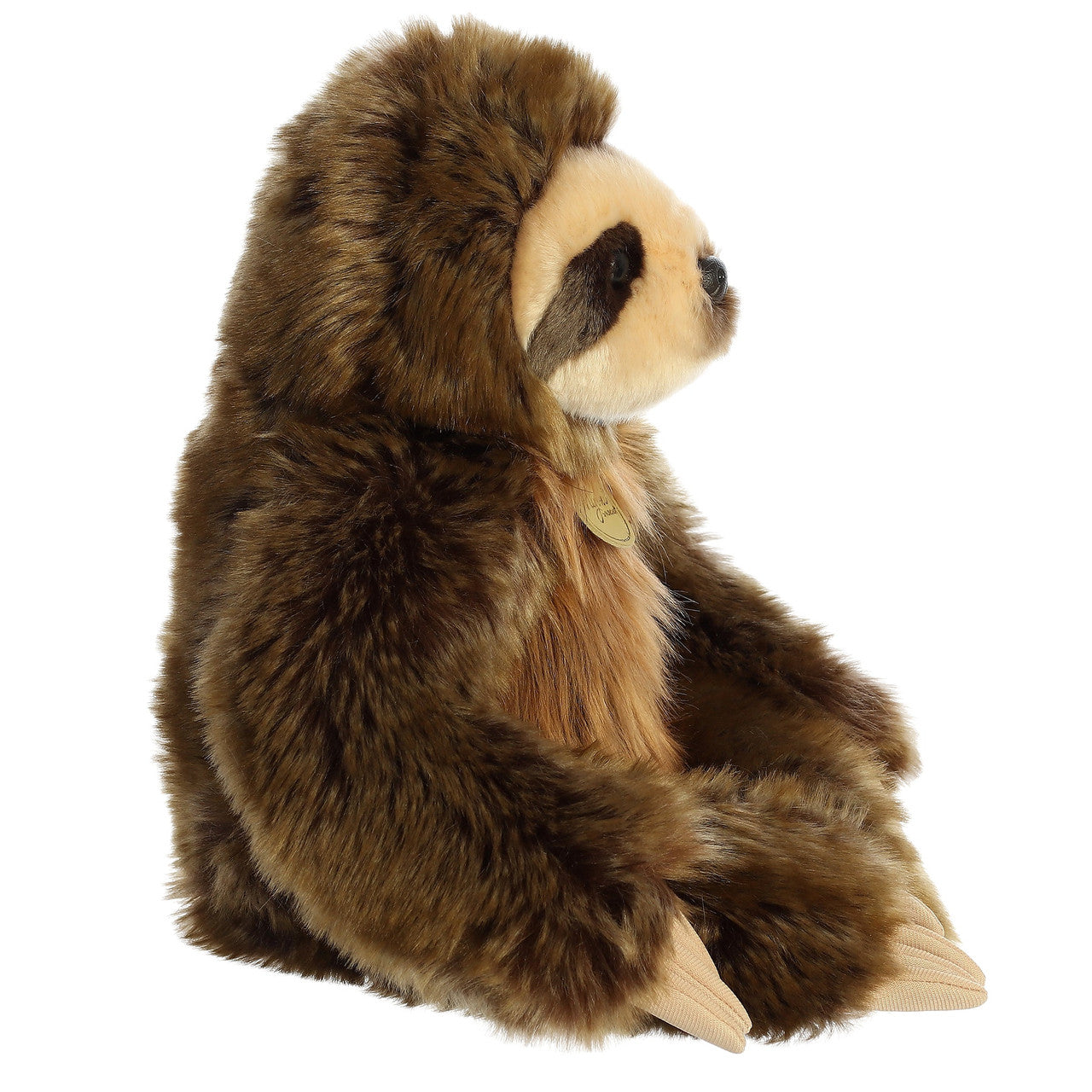 Three Toed Sloth