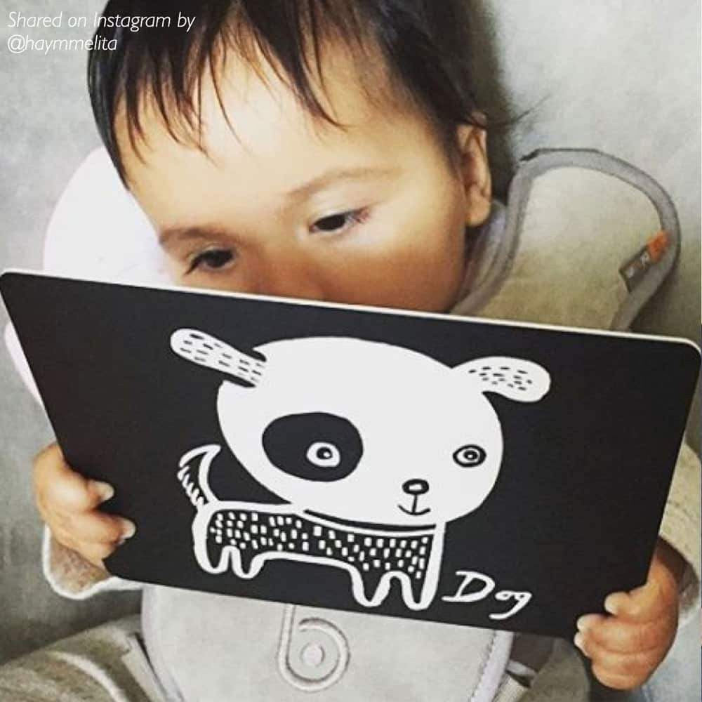 Art Cards for Baby Pets