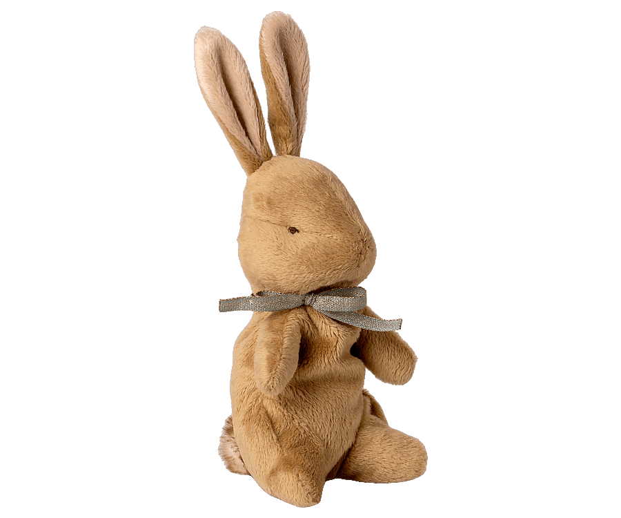 My First Bunny