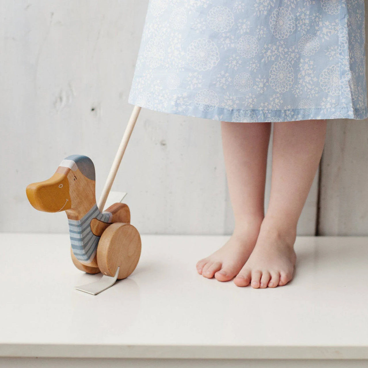 Wooden Push Toy Duck Blue