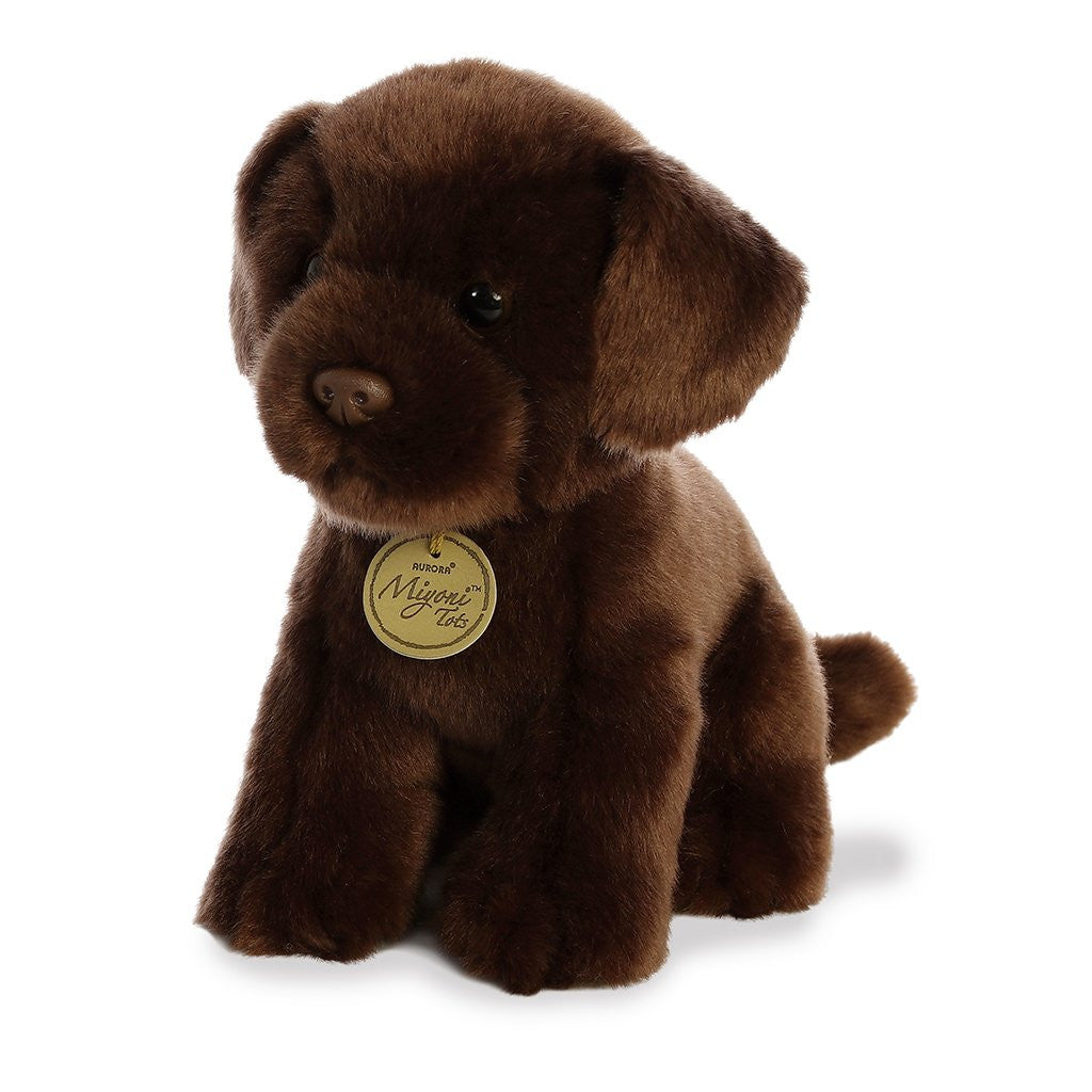 Chocolate Lab Pup
