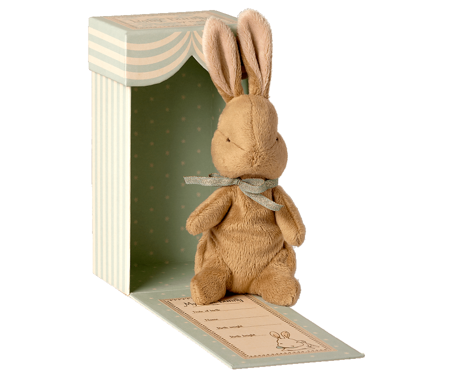 My First Bunny