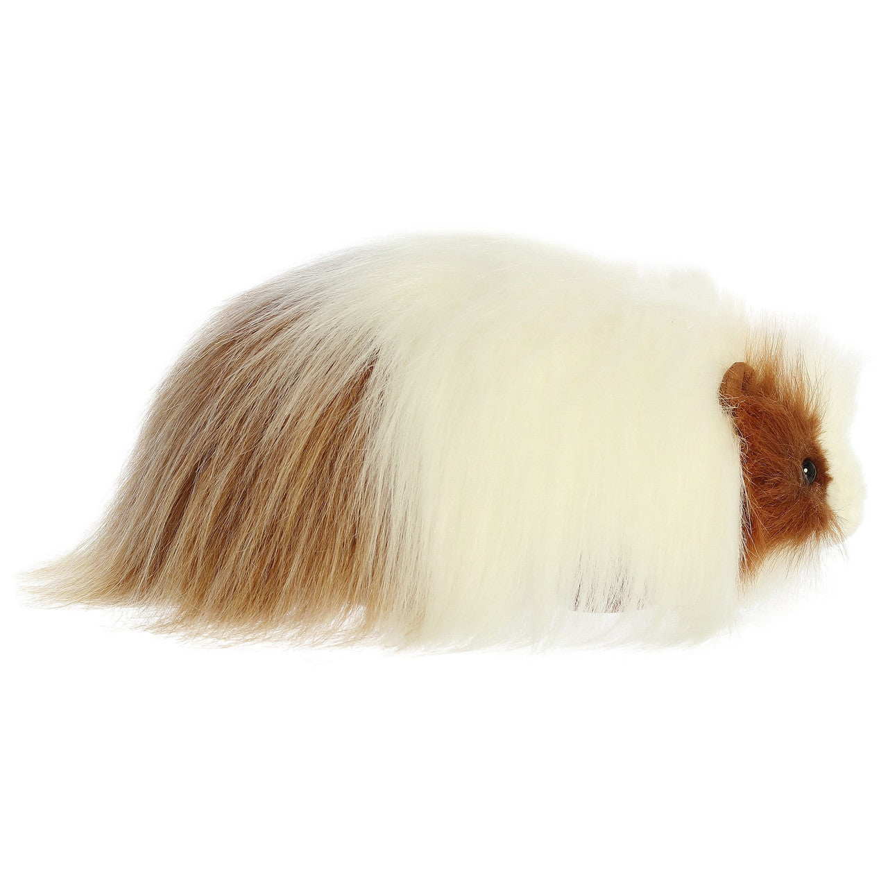 Quincy Guinea Pig