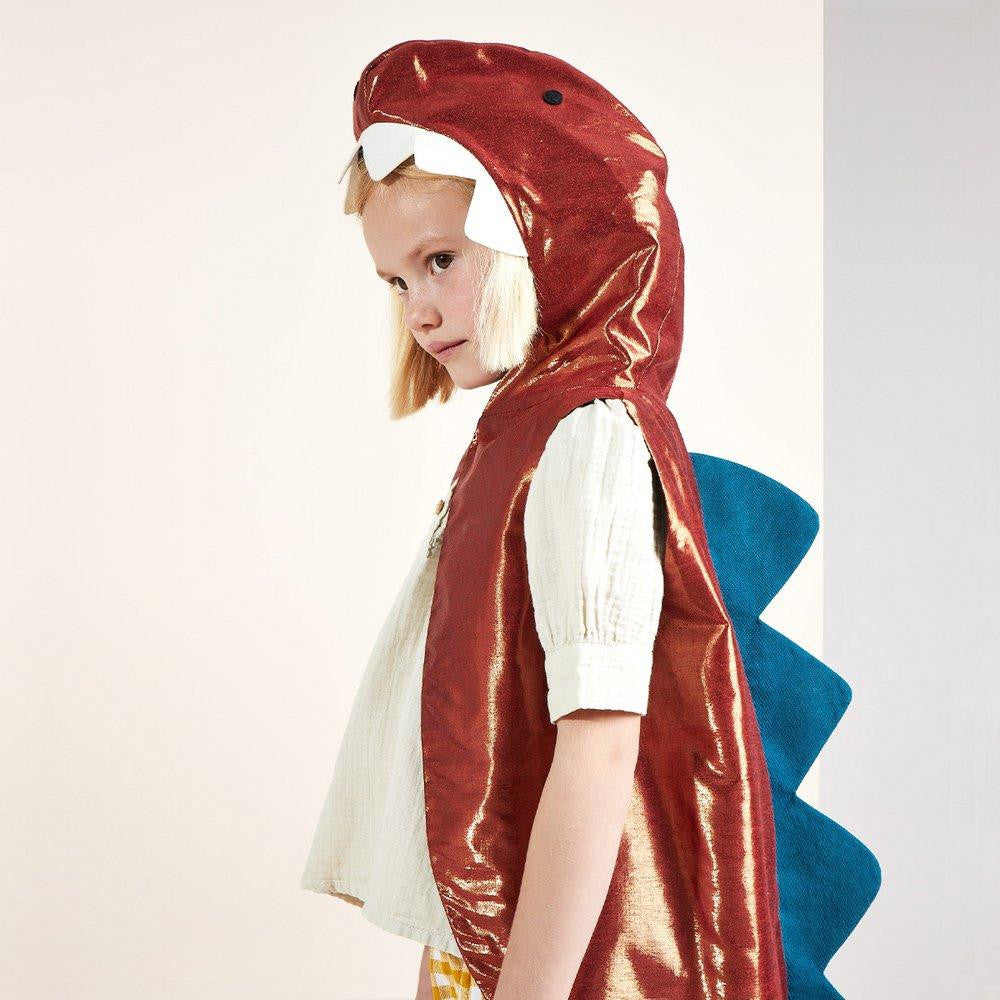 Dinosaur Costume
