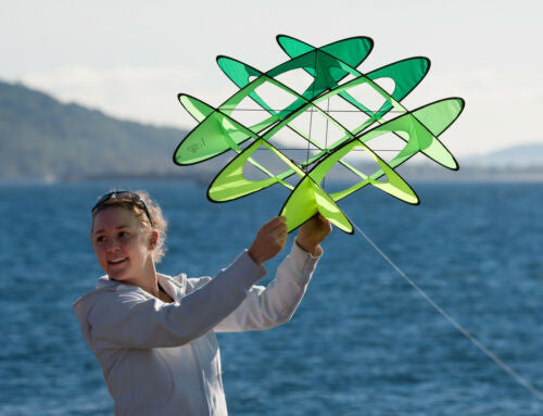 EO-6 Single Line Kite - Sky