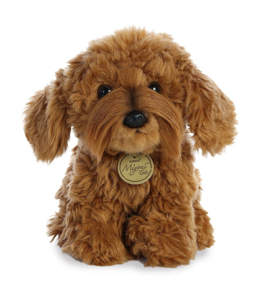 Labradoodle
