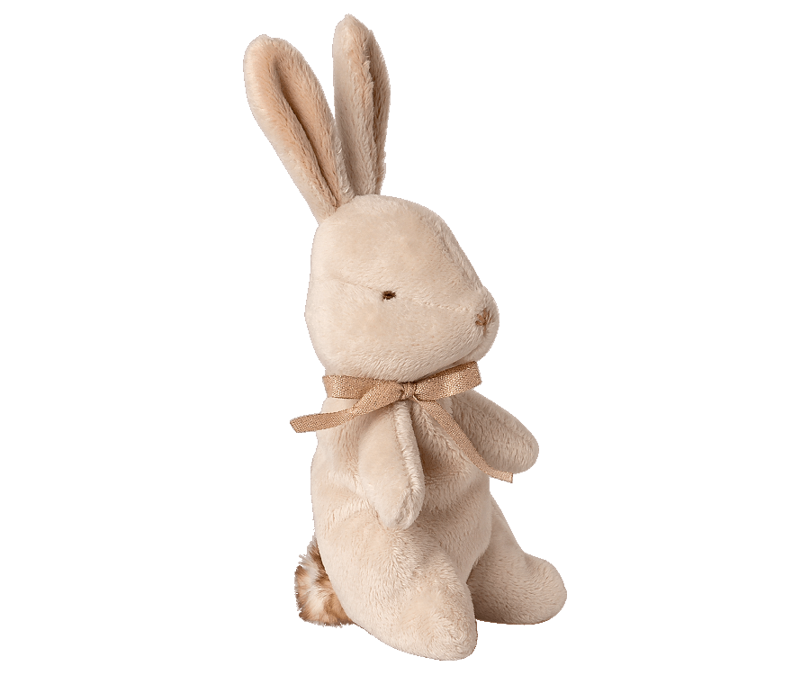 My First Bunny