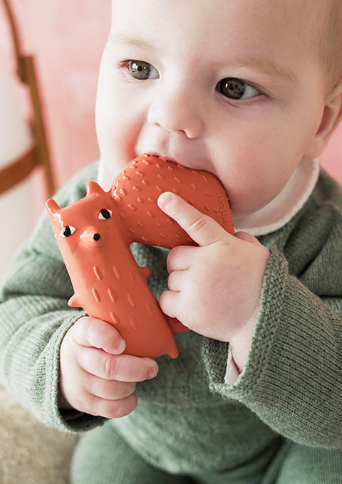 Cyril Squirrel Fox Teether - Donna Wilson