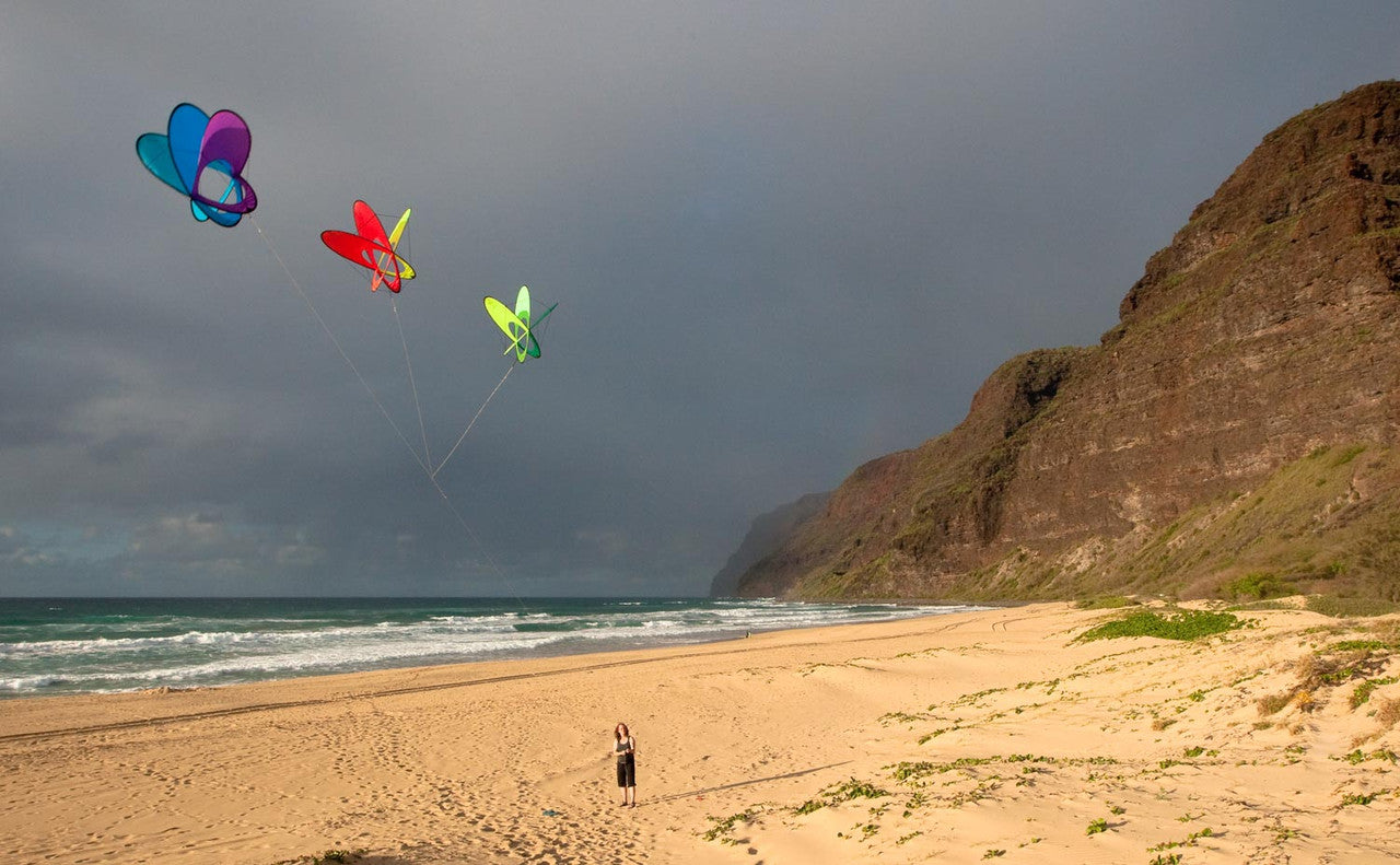 EO Atom Single Line Kite- Spectrum