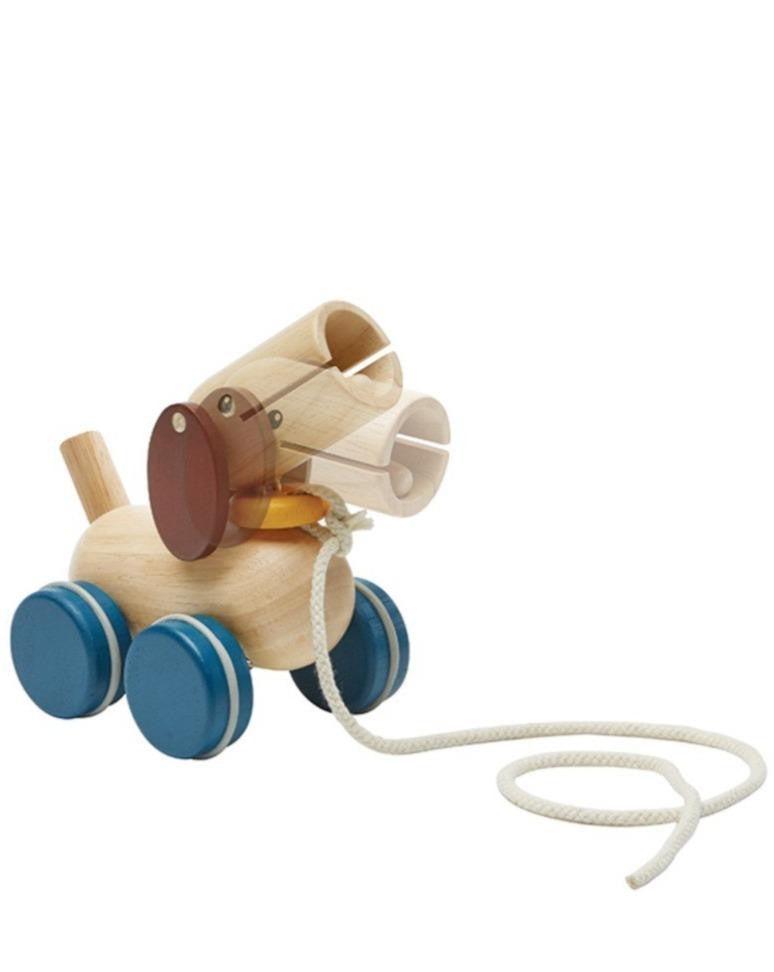 Push & Pull Puppy