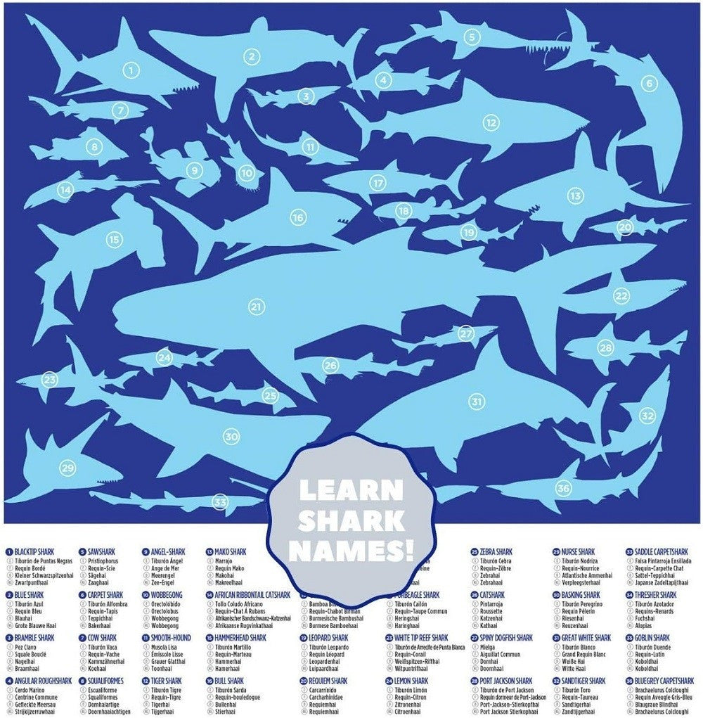100-pc Puzzle 36-Sharks