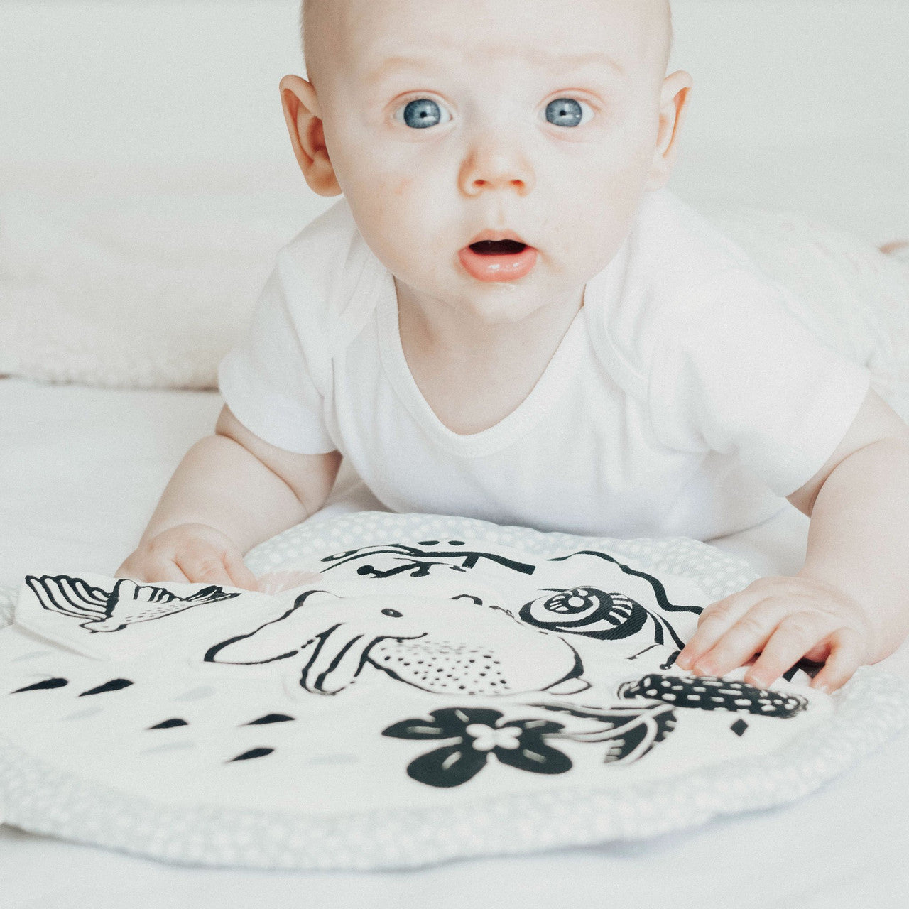 Organic Activity Pad Meadow